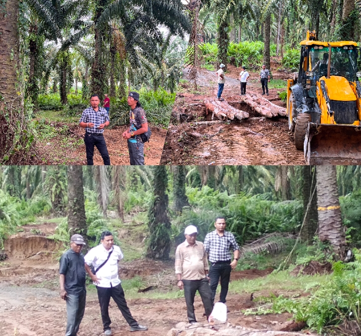 Camat Darul Makmur Bersama PT Socfindo dan  SPS 2 Bangun Jembatan Helak untuk Pulihkan Akses Warga